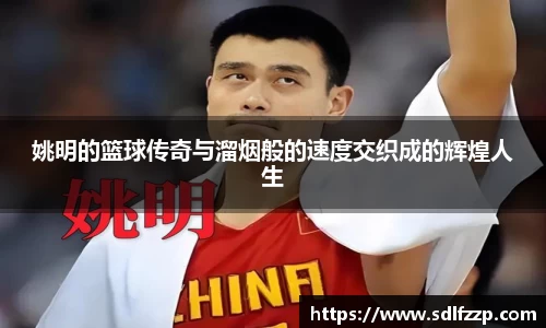 yy易游体育官网