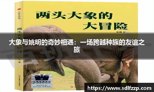 米乐YY易游