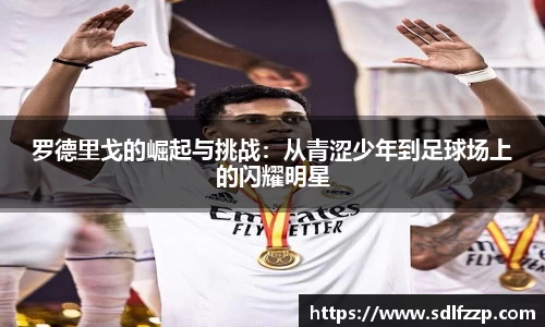 米乐YY易游